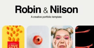 Robin and Nilson - a creative portfolio template by honryou
